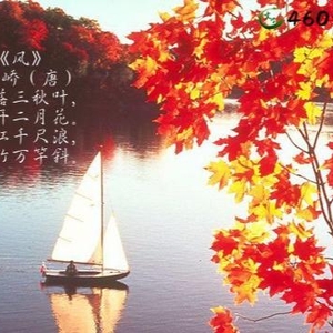 唐-李峤